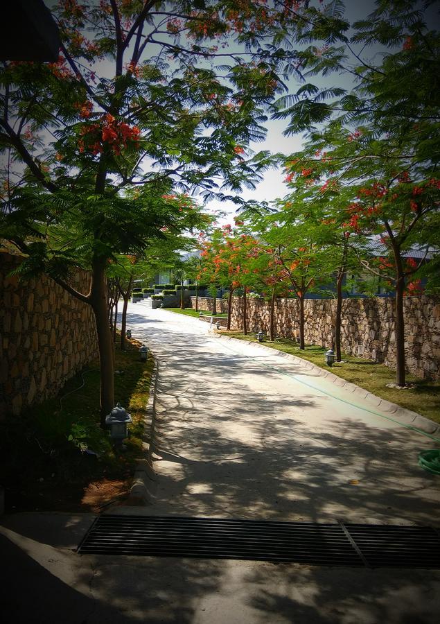 乌代浦塔特萨拉萨Spa度假村 烏代浦 外观 照片